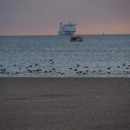 Perennial In The Aft Deck Comfortable Ferienhaus Lübeck