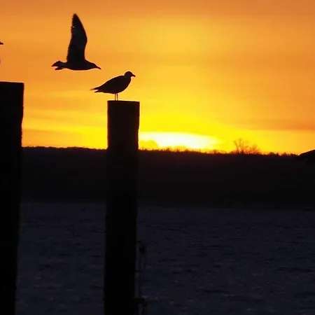 Ferienhaus Perennial In The Aft Deck Comfortable