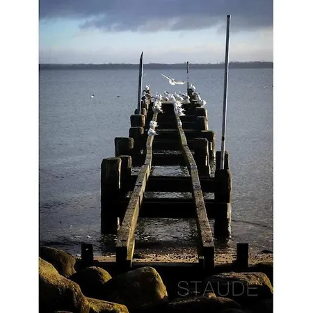 Perennial In The Aft Deck Comfortable Ferienhaus Lübeck